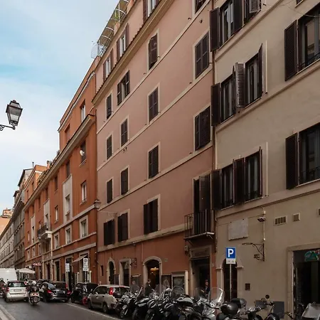 Jungle * فيرّارا